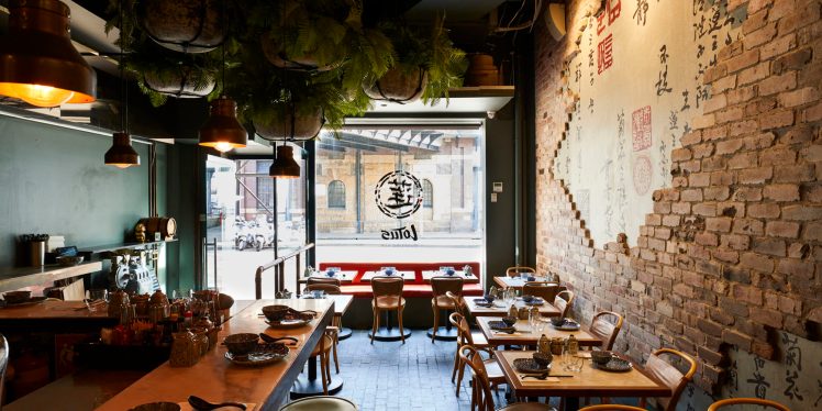 2018-06-13-Lotus-Dumpling4362-2000x1000