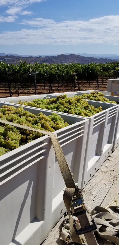 PSX_20190904_113415 (1)